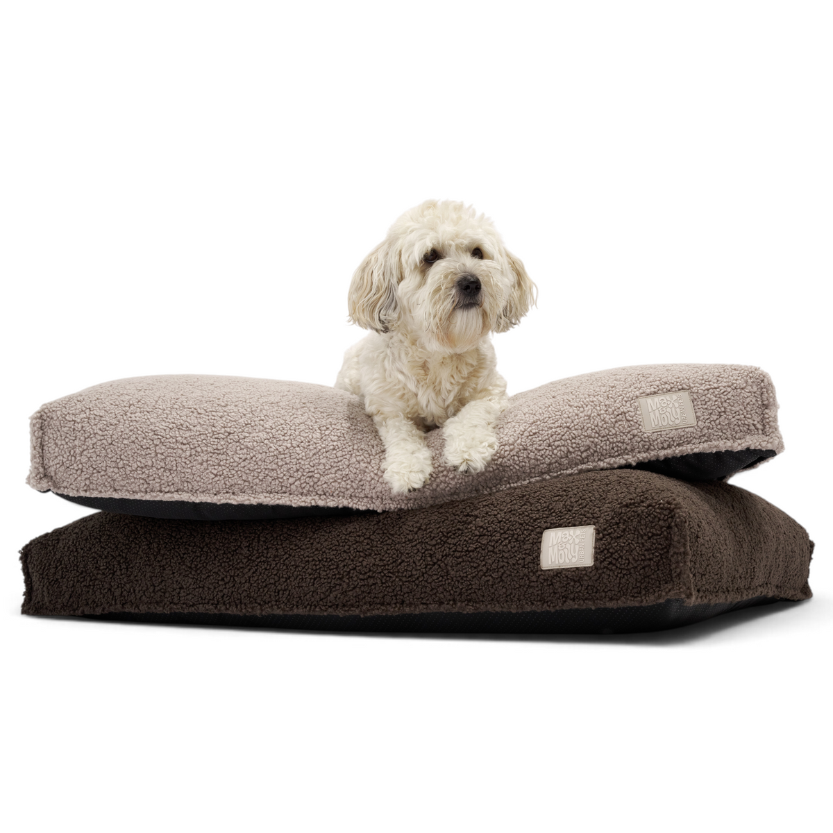 Dog Mattress Bed - Kivo Teddy Beige