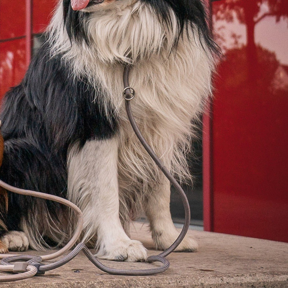 Retriever Rope Leash - Matrix 2.0 Stone