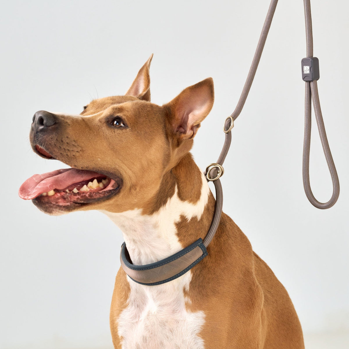 Retriever Rope Leash - Matrix 2.0 Stone