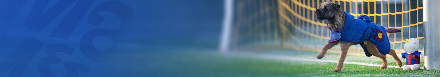 Kollektion FC Barcelona