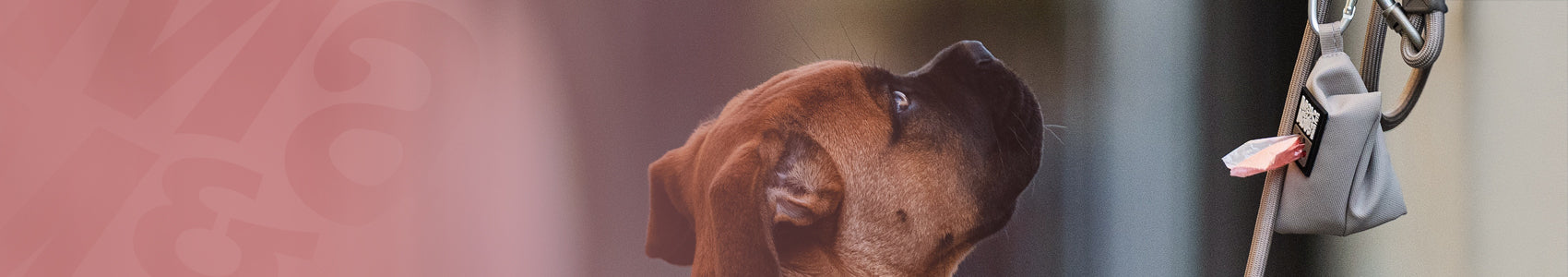 Poo Bag Dispenser - Matrix 2.0