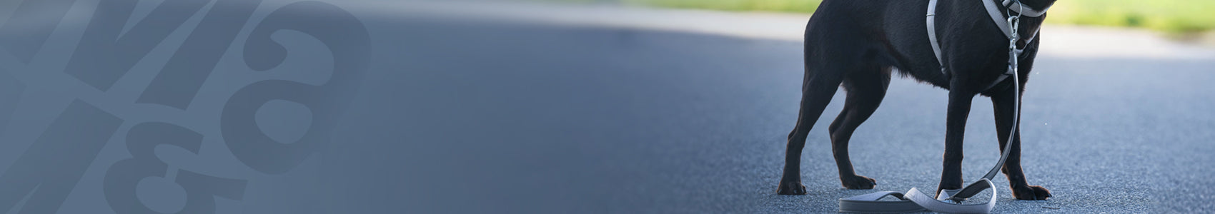 Matrix 2.0 - Kurze Leinen