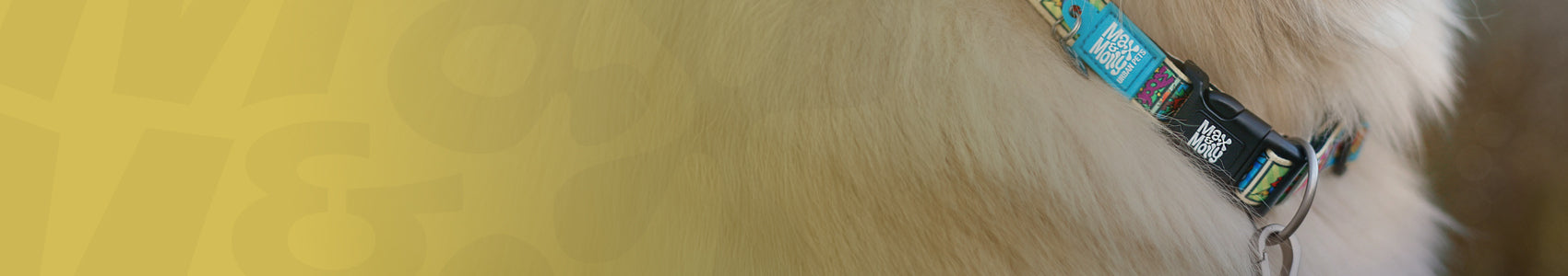 Hundehalsbänder mit Smart ID – Original Gear 