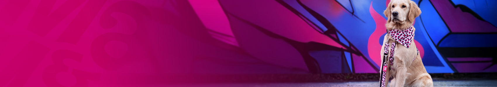 Kollektion Original Gear