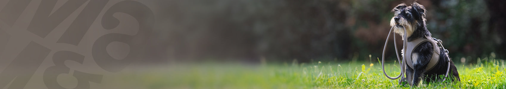 Tauleinen - Matrix 2.0