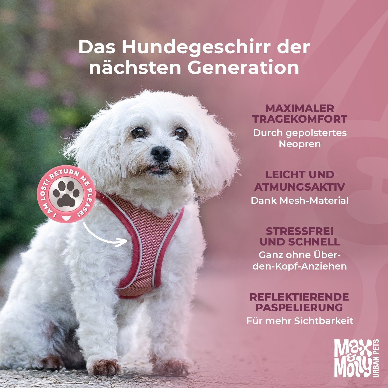 Air Vest Dog Harness - Matrix 2.0 Rose