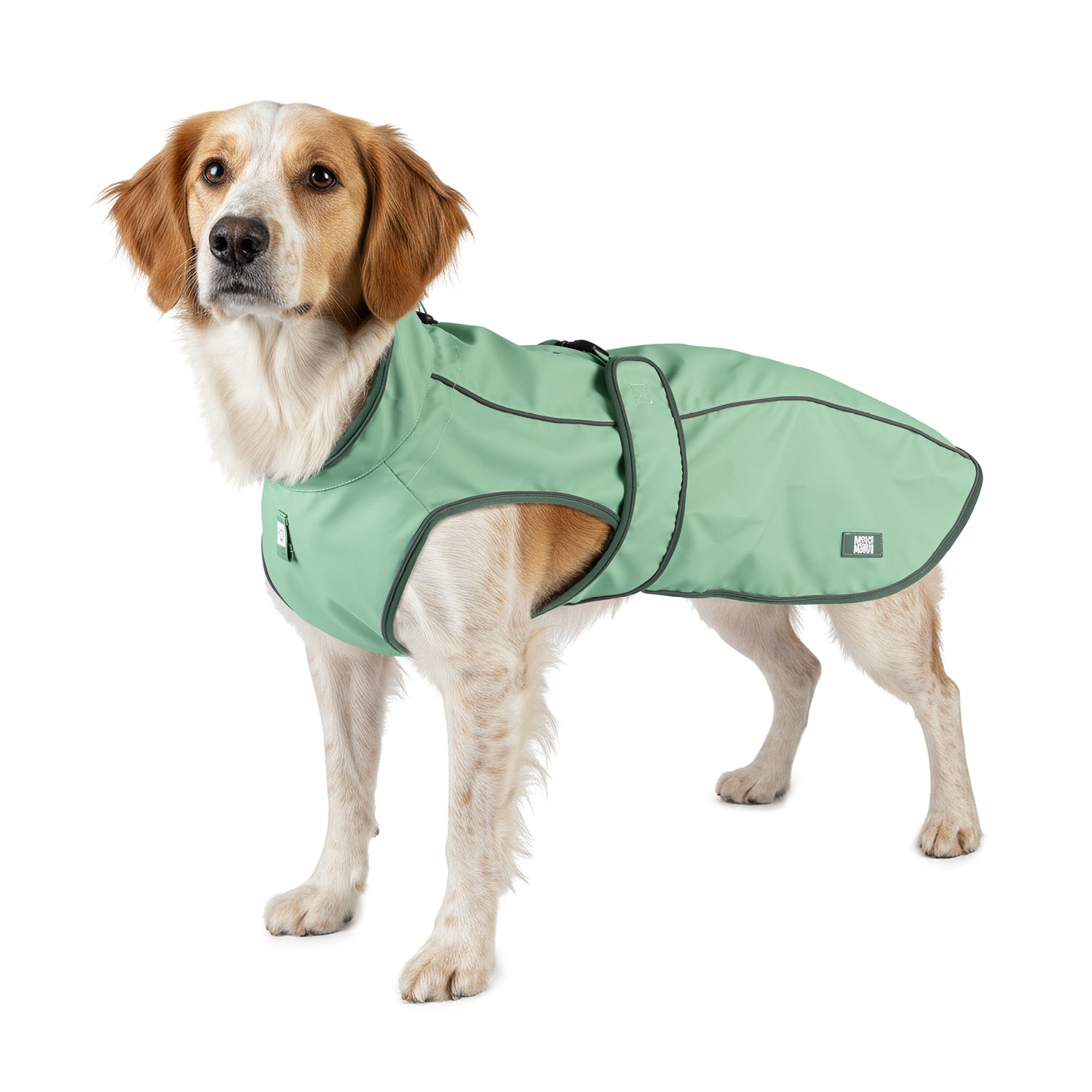 Raincoat for dogs - MATRIX 2.0 JADE