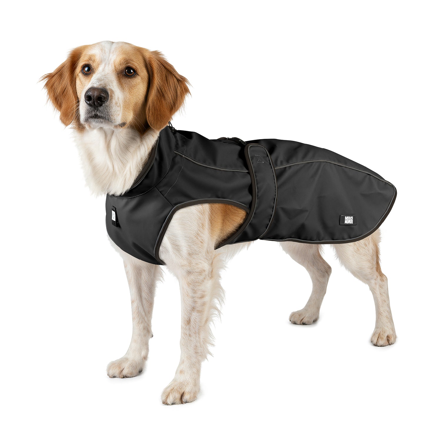 Raincoat for dogs - MATRIX 2.0 BLACK
