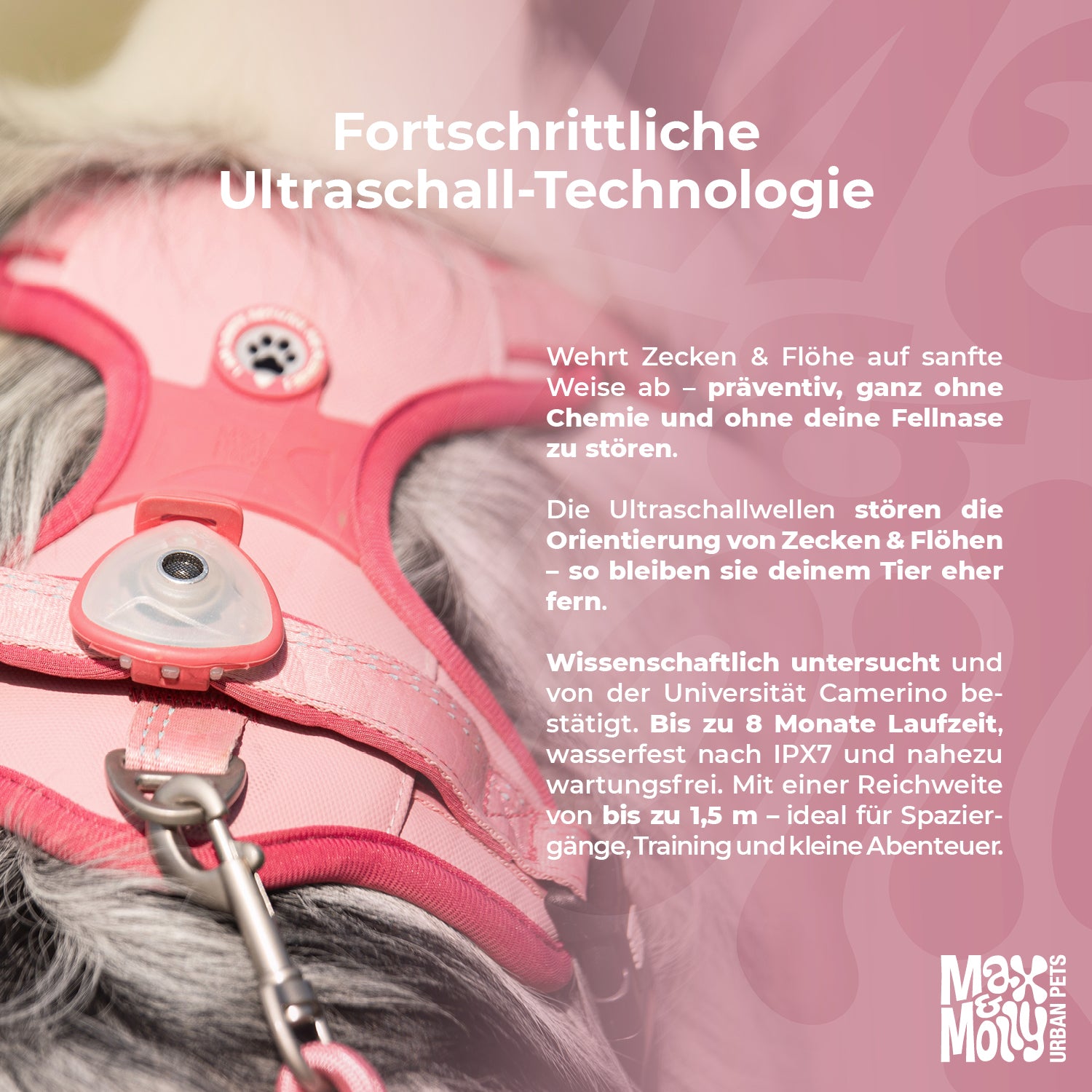 Soundshield MINI - 24/7 Ultrasonic Technology Against Ticks & Fleas - Black