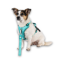 GOTCHA! Smart ID Sport Harness - Matrix 2.0 Turquoise