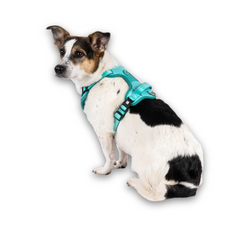 GOTCHA! Smart ID Sport Harness - Matrix 2.0 Turquoise