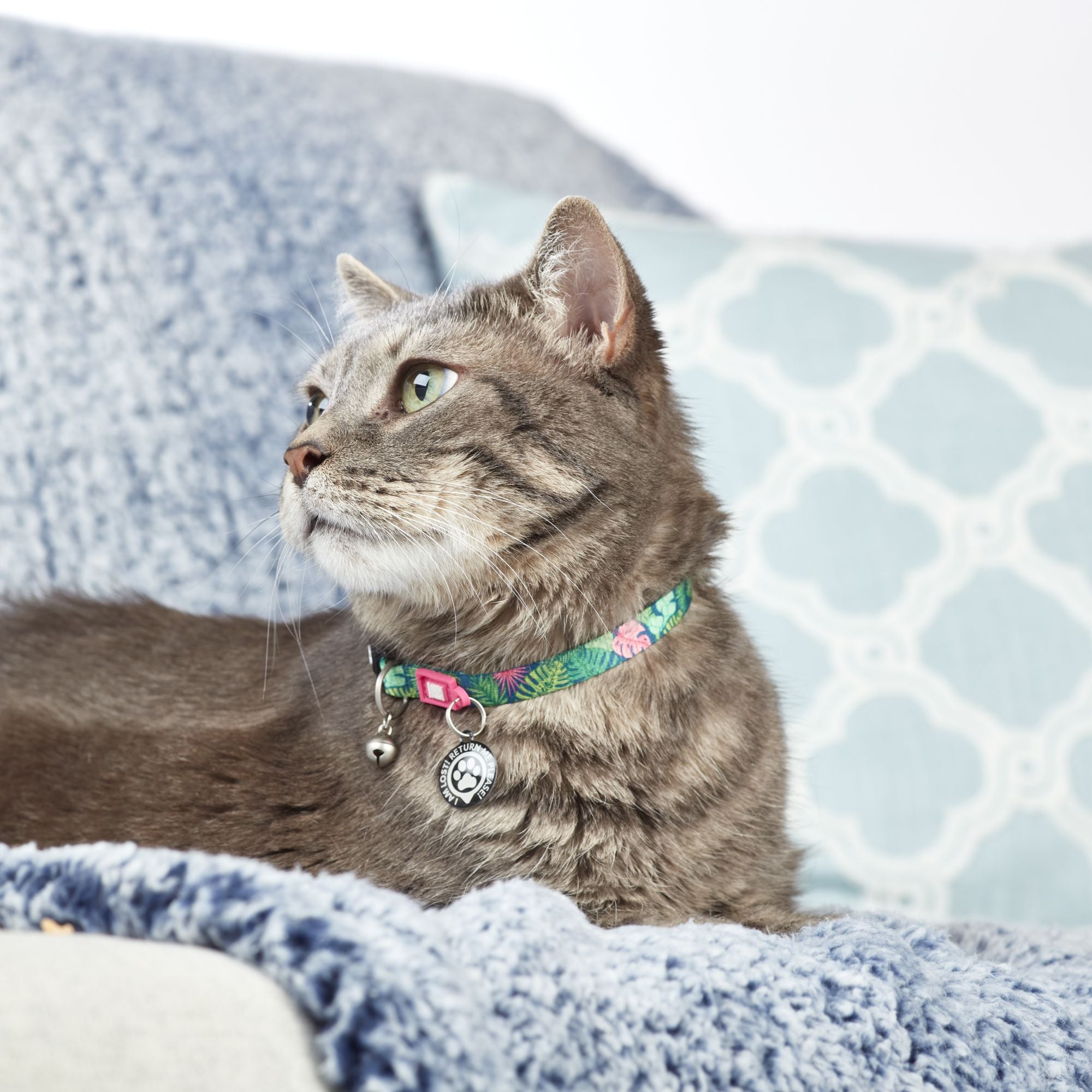 Smart ID Cat Collar - Tropical