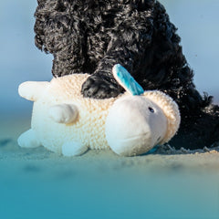 Max & Molly Urban Pets