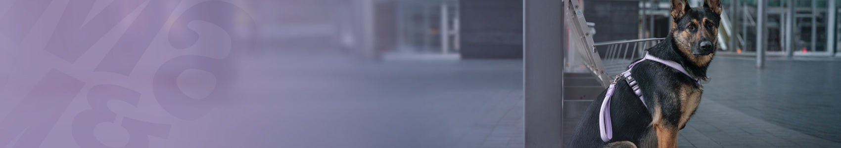 Handle Leash - Matrix 2.0