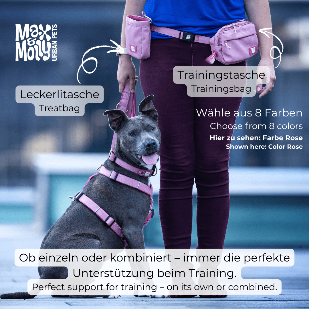 Training Bag  - Matrix 2.0 Sand