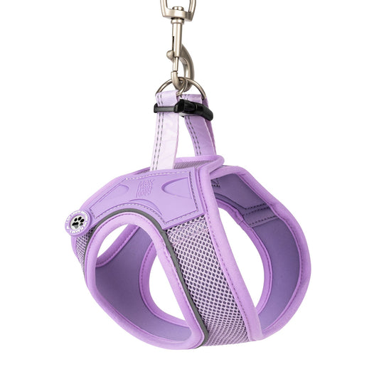 Max & Molly dog vest harness – breathable, lightweight, and ergonomic for maximum comfort and control.