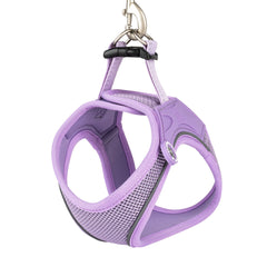 Max & Molly dog vest harness – breathable, lightweight, and ergonomic for maximum comfort and control.
