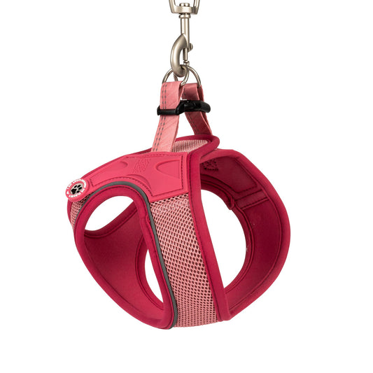 Max & Molly dog vest harness – breathable, lightweight, and ergonomic for maximum comfort and control.