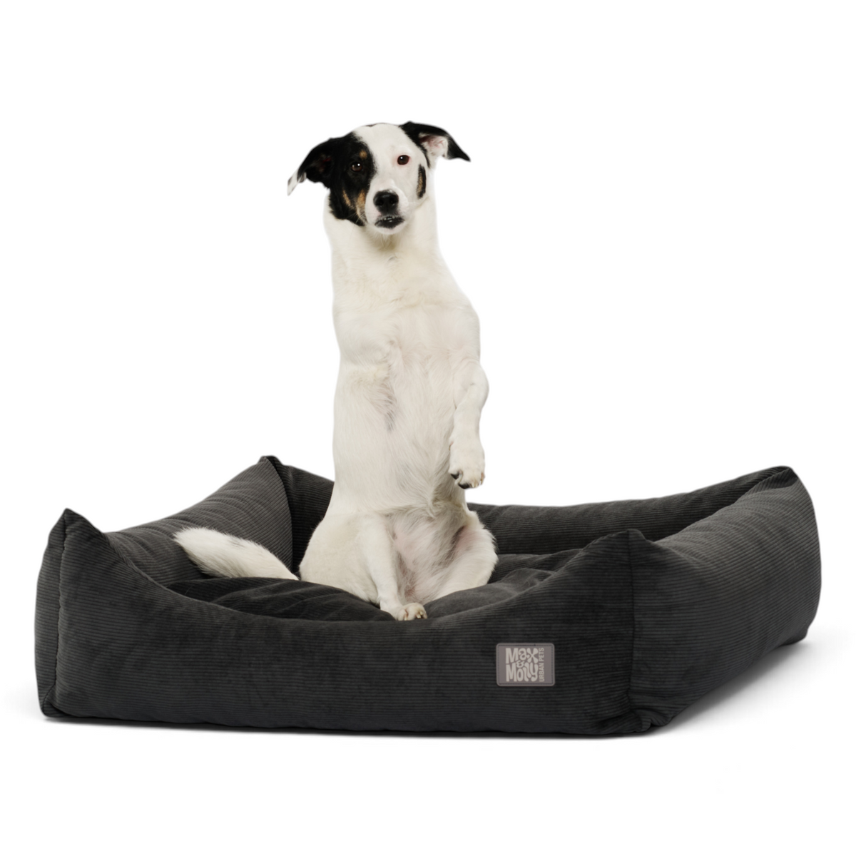 Dog Lounge Bed - Vela Cord Grey