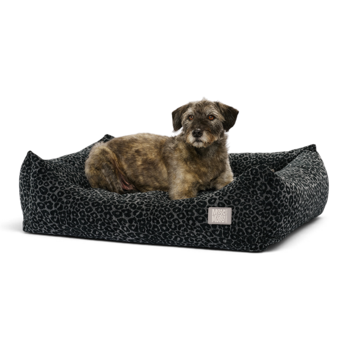 Dog Lounge Bed - Vela Leo Black