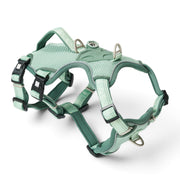 Smart ID Safety Sport Harness - Matrix 2.0 Jade