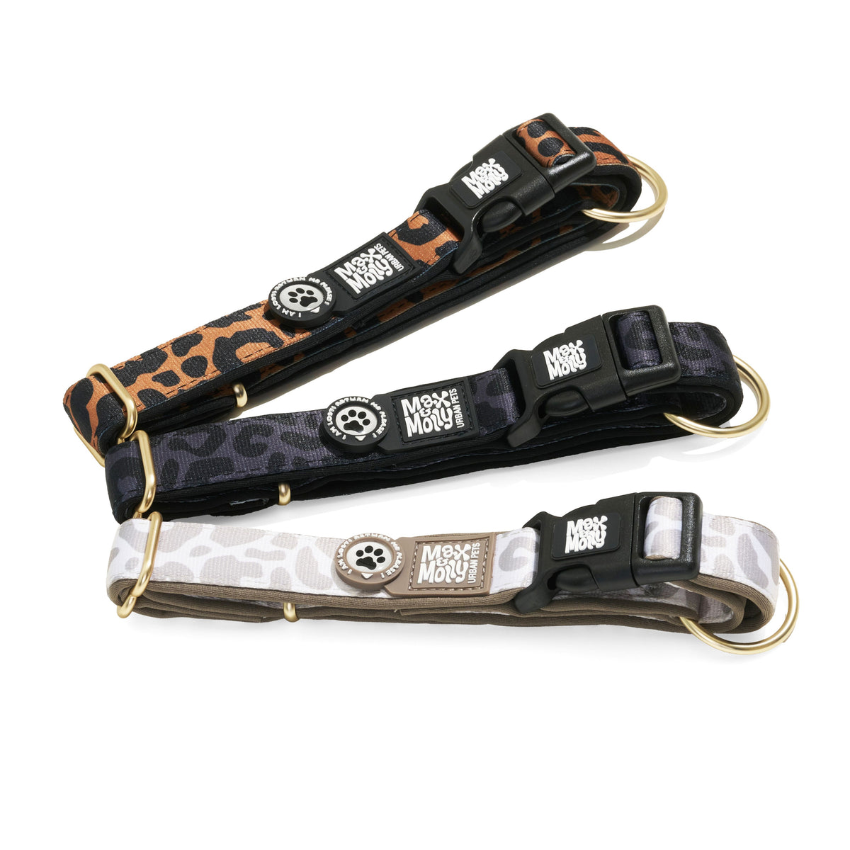 Gotcha! Smart ID Dog Collar - Leo - Black
