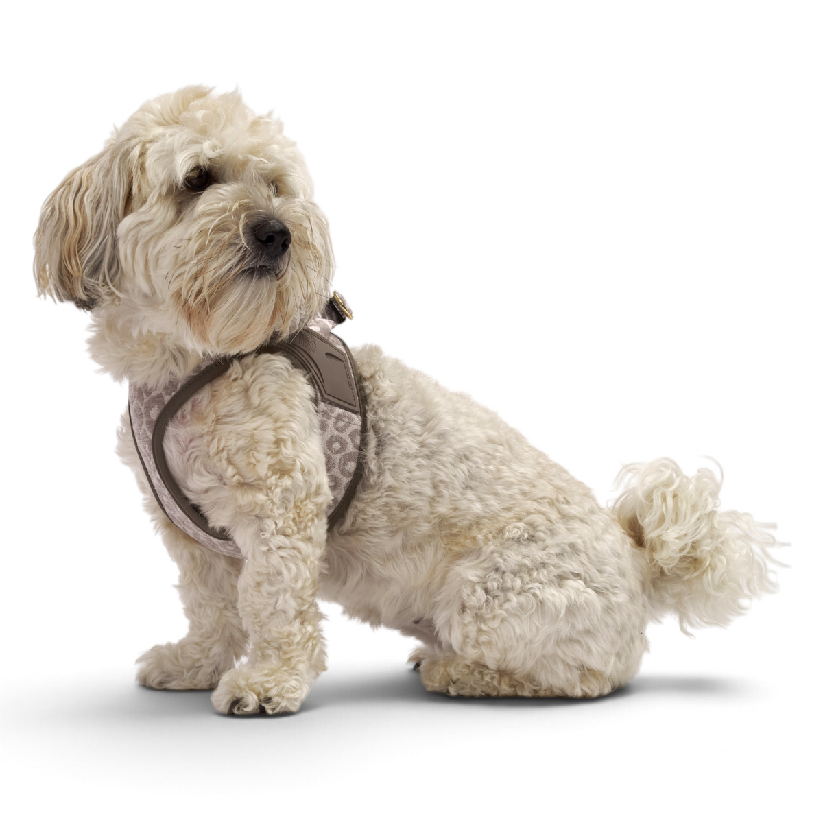 Air Vest Hundegeschirr - Leo Beige