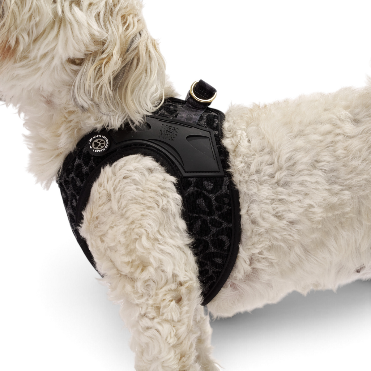Air Vest Hundegeschirr - Leo Black