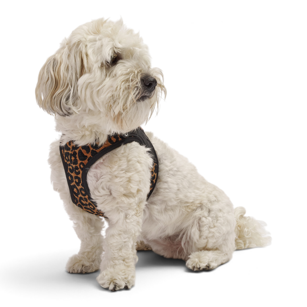Air Vest Dog Harness - Leo Brown