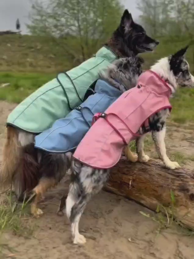 Load video: Raincoat for dogs - Matrix 2.0 Sand