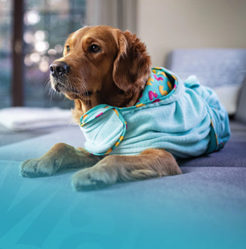 Max & Molly Urban Pets