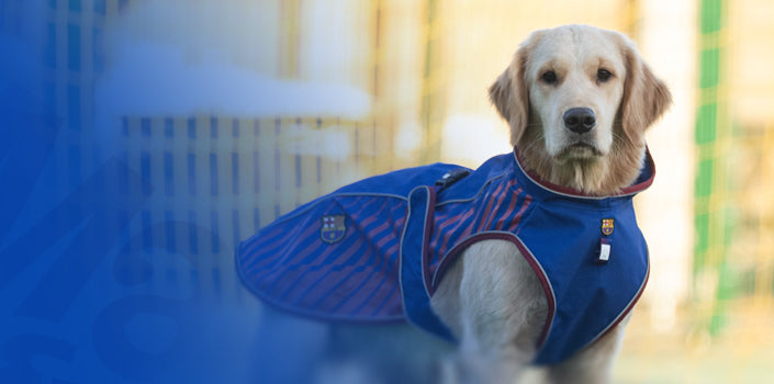 Max & Molly Urban Pets