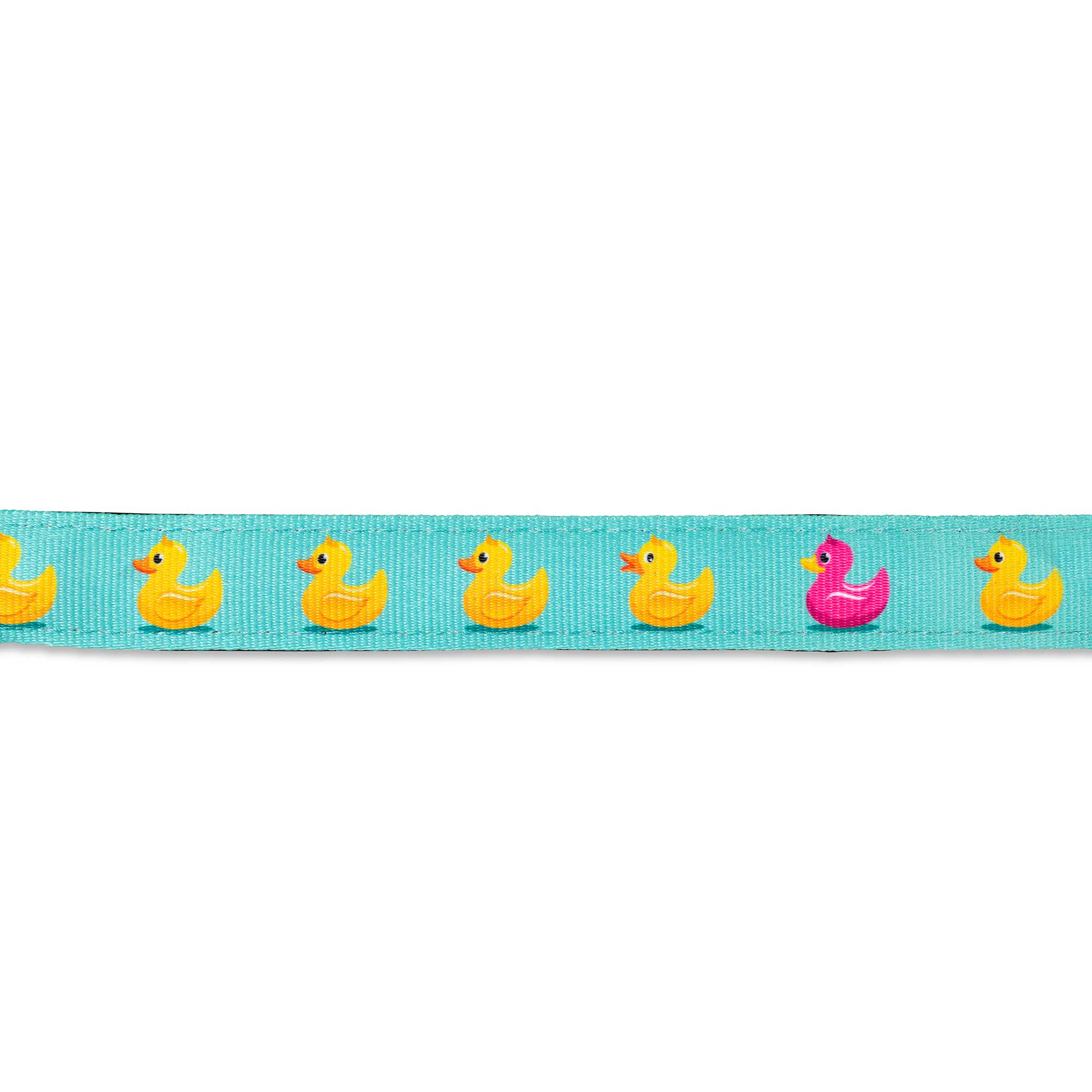 Kurzleine - Ducklings