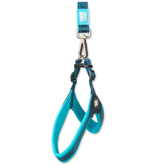 Q-Fit Harness Sky Blue