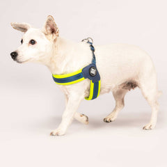 Q-Fit Harness Lime Green