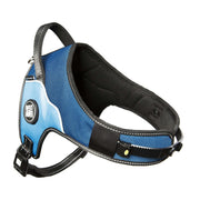 Matrix Power Harness - Sky Blue - Max & Molly Urban Pets